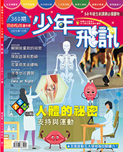 國語青少年月刊少年飛訊第360期書籍封面圖片