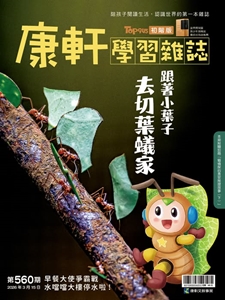 康軒學習雜誌TOP945 [初階版] [第560期]:跟著小葉子去切葉蟻家書籍封面圖片