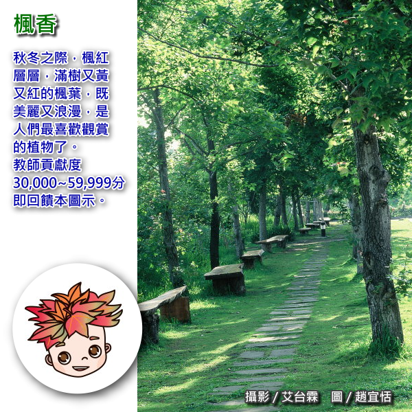 閱讀鳥或樹精靈介紹圖片