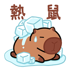 <br><b>林芸安</b><br>臺中市烏日區烏日國小<br>5年5班頭貼圖片