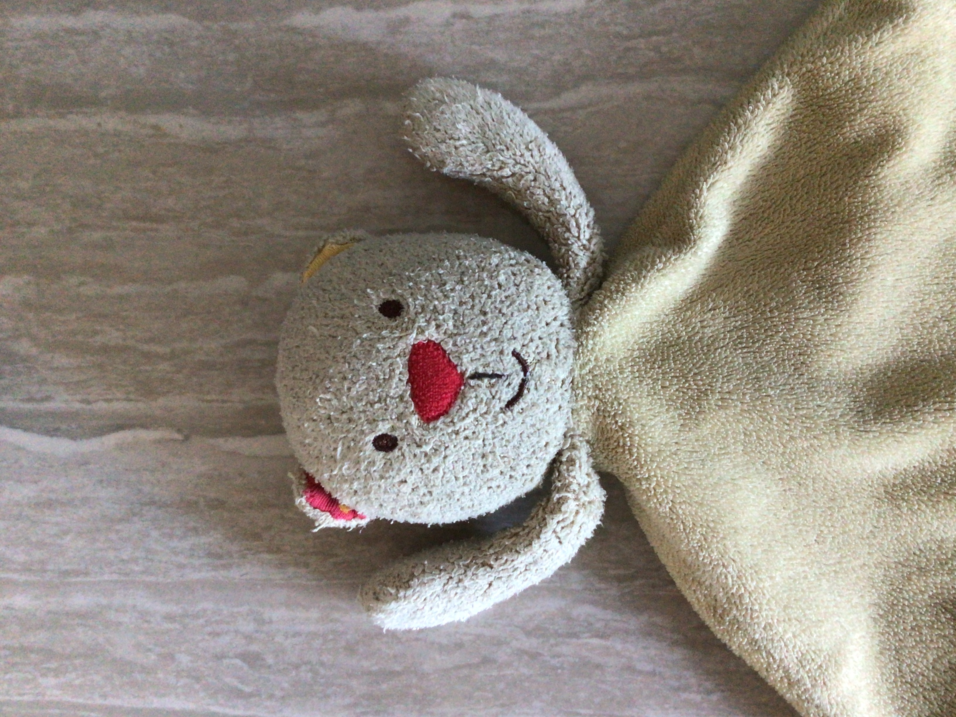 <br><b>林伯松</b><br><font size=-1>臺中市北區育仁小學<br>5年3班</font>頭貼圖片