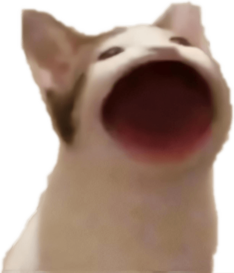 <br><b>翊瑄</b><br><font size=-1>臺中市豐原區葫蘆墩國小<br>4年2班</font>頭貼圖片