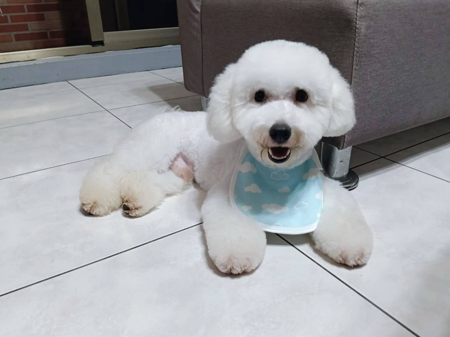 <br><b>王楷熙</b><br>桃園市中壢區新街國小<br>5年7班頭貼圖片