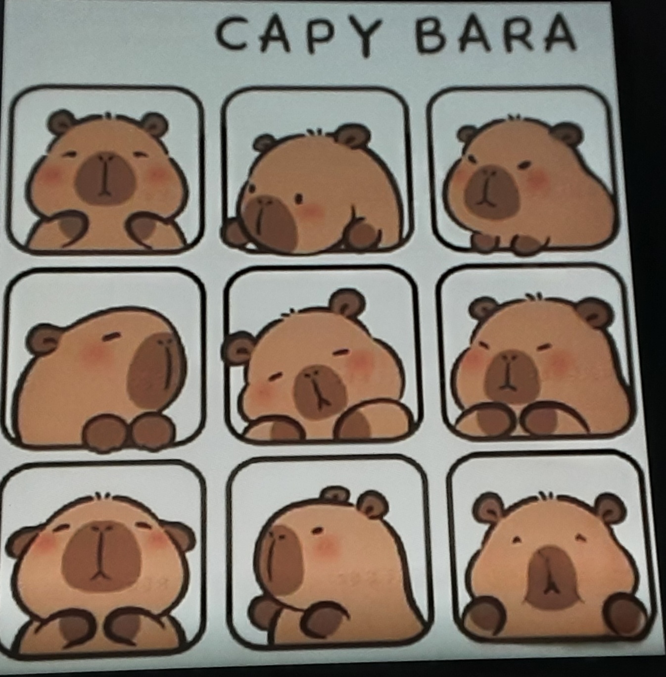 <br><b>卡皮巴拉</b><br><font size=-1>臺中市北屯區文昌國小<br>4年3班</font>頭貼圖片