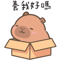 <br><b>三甲最吵 </b><br>臺中市霧峰區五福國小<br>3年1班頭貼圖片