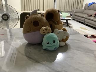 <br><b>盧姿伶</b><br><font size=-1>臺中市后里區內埔國小<br>3年1班</font>頭貼圖片